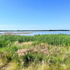 24-06-29 15-27-54 0015